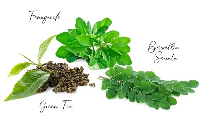 Cholesterol-Lowering supplements