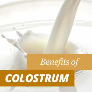 Colostrum - Vorteile und Eigenschaften