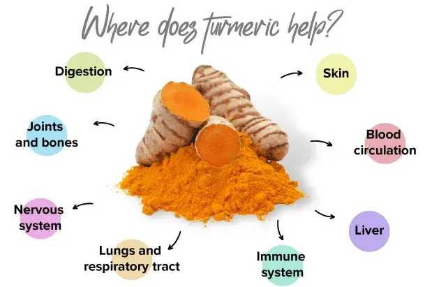 What does turmeric do for the body?