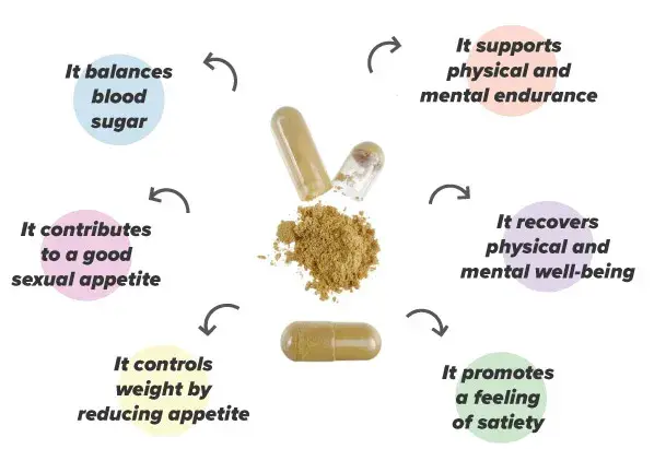 Damiana Extract with Zinc