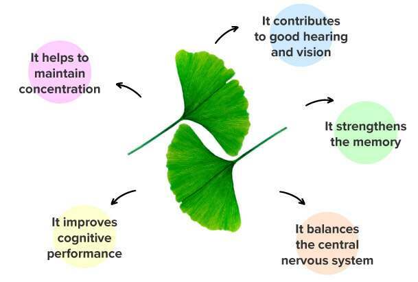 Ginkgo Biloba tablets effects