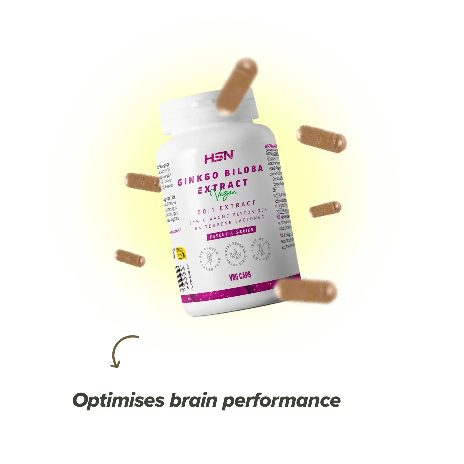 Ginkgo Biloba HSN
