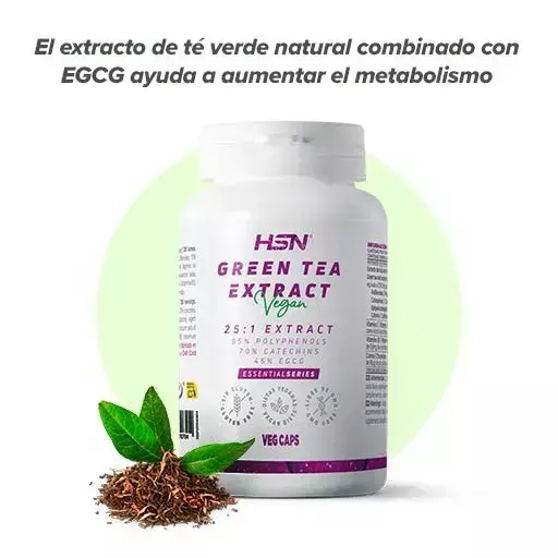 Highly concentrated green tea extract