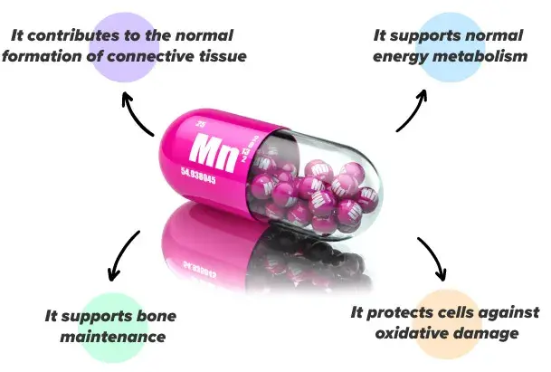 Manganese in the body
