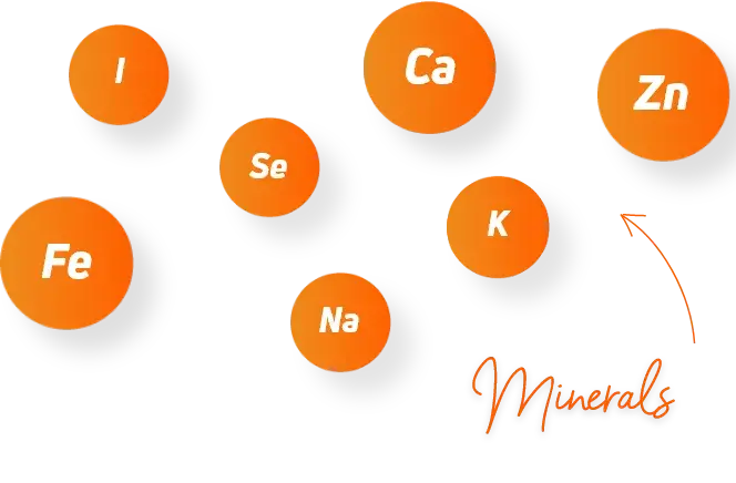 mineral types