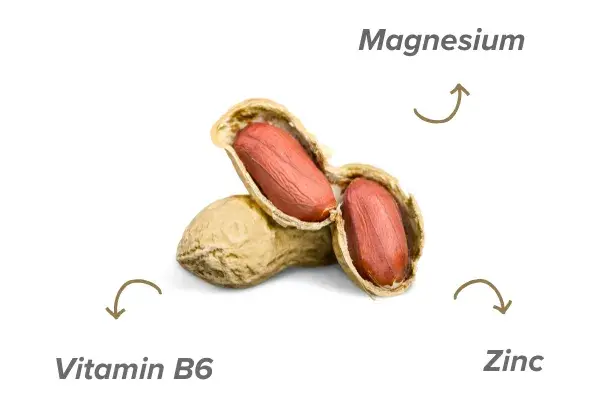 peanut nutrients