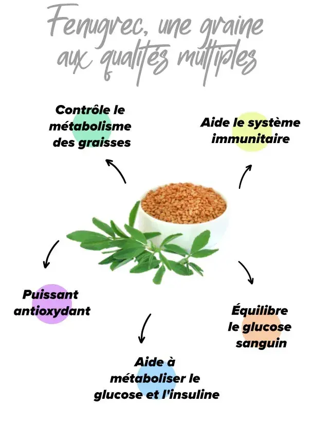 Bienfaits du fenugrec chez les sportifs
