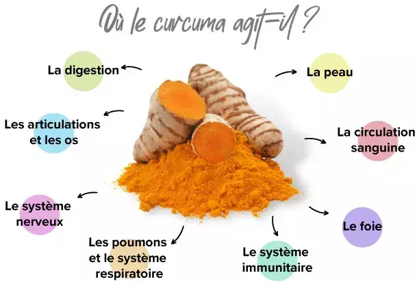 Cúrcuma en el organismo