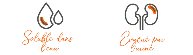 Les acides aminés isolés ont-ils des effets secondaires ?