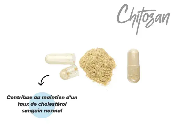 Effets du chitosan dans l'organisme