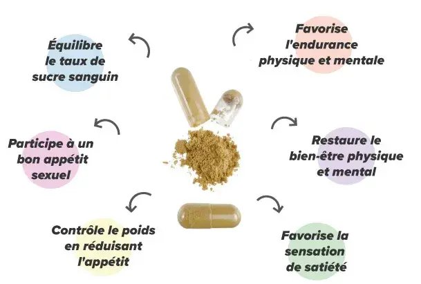 Extrait de damiane au zinc