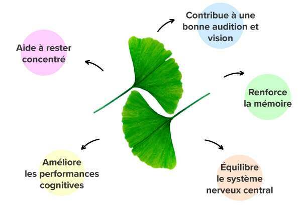 Effets des comprimés de ginkgo biloba