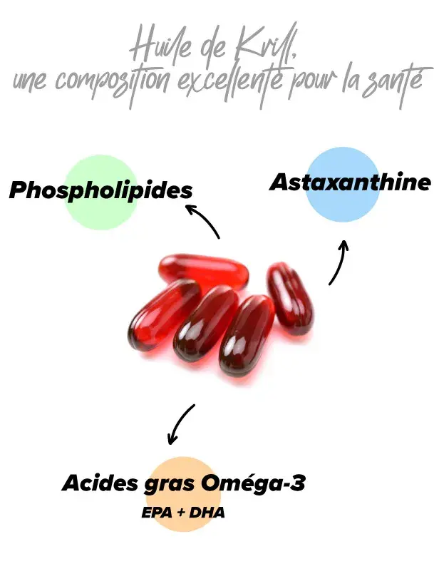 Huile de Krill sur la santé