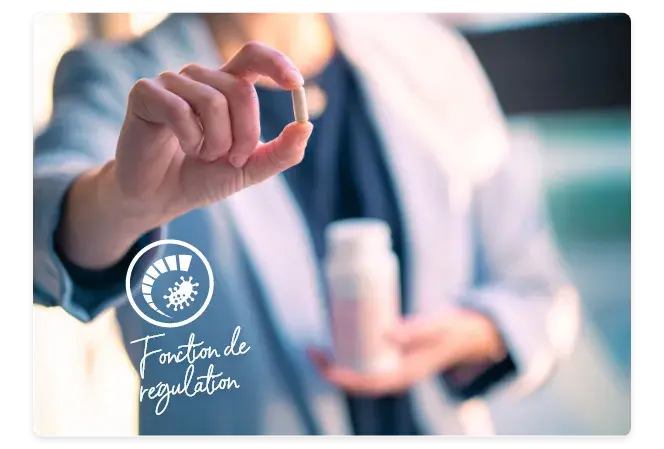 Minéraux à fonction régulatrice