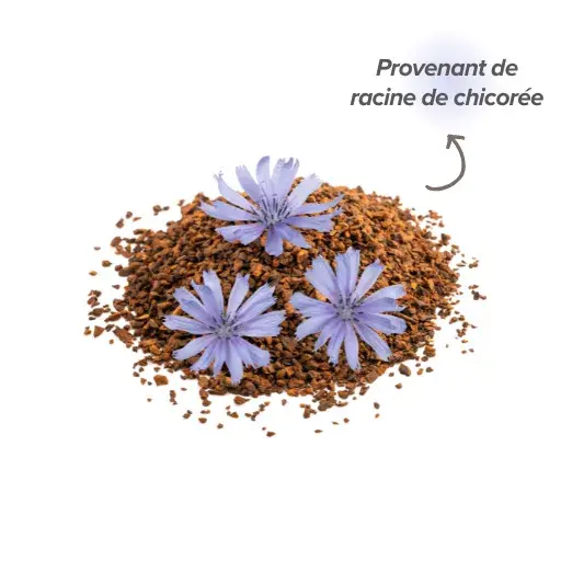 Inuline de racine de chicorée 