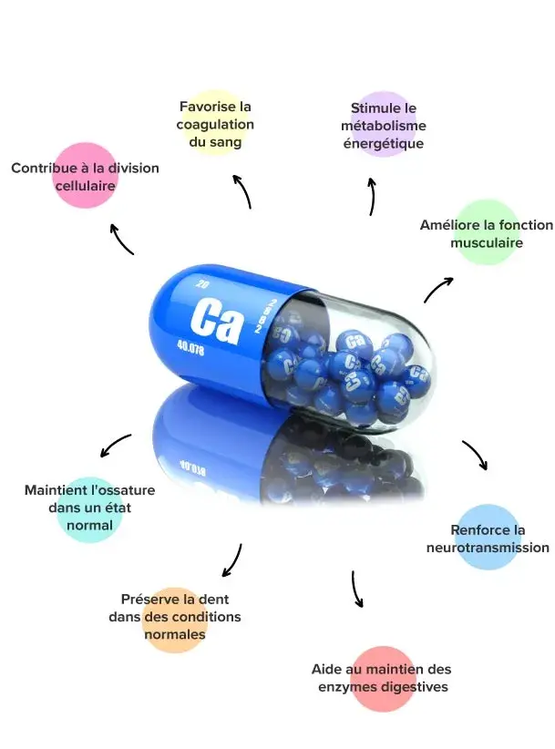 Propriétés du calciim