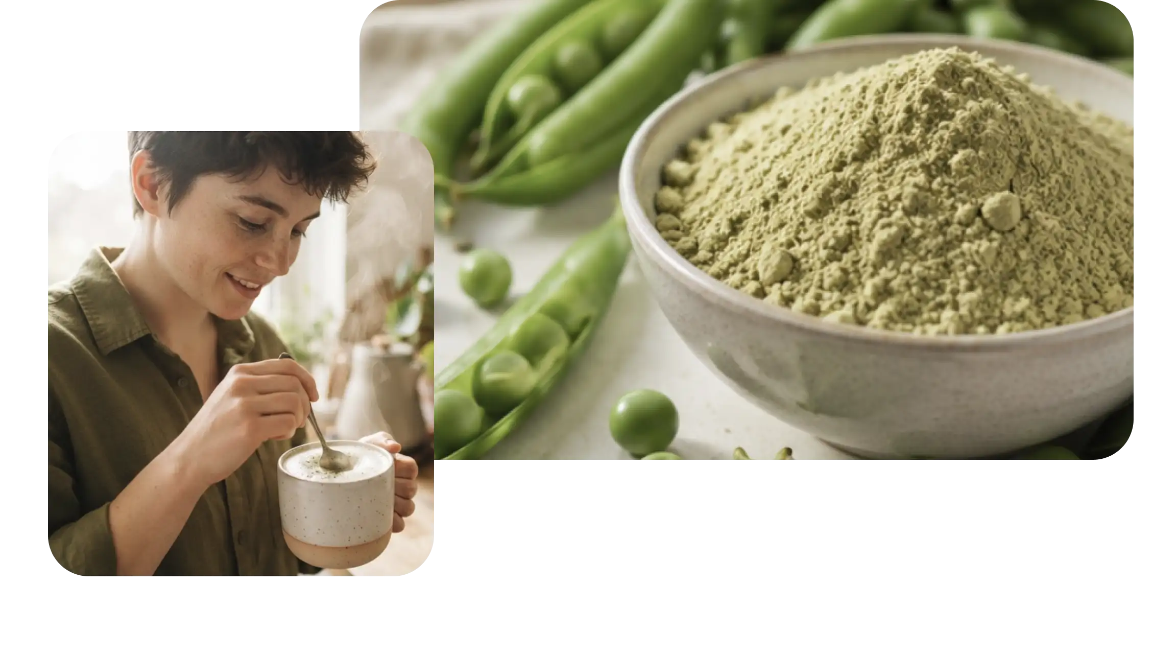 Proteína de guisante aislada Proteína de guisante aislada