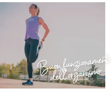 Buon funzionamento dell'organismo