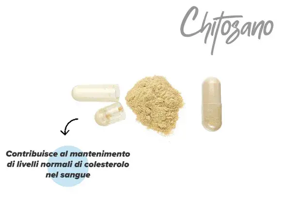 Effetti del chitosano sull'organismo