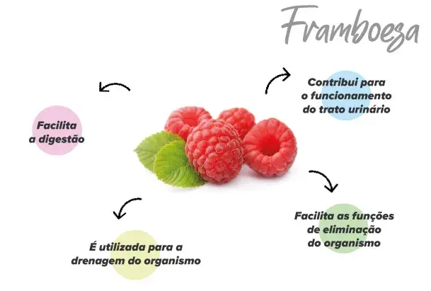 Funções das framboesas