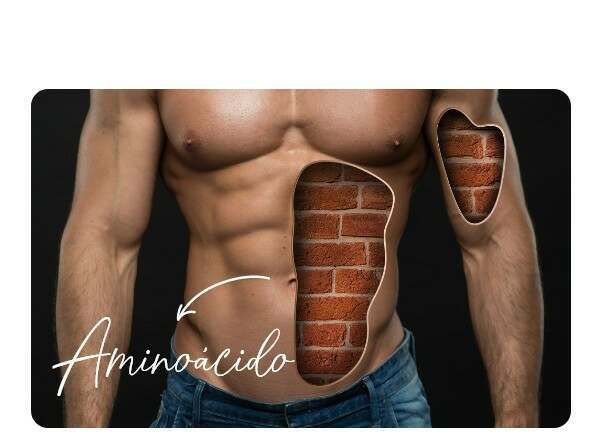 Tipos de aminoácidos em HSN