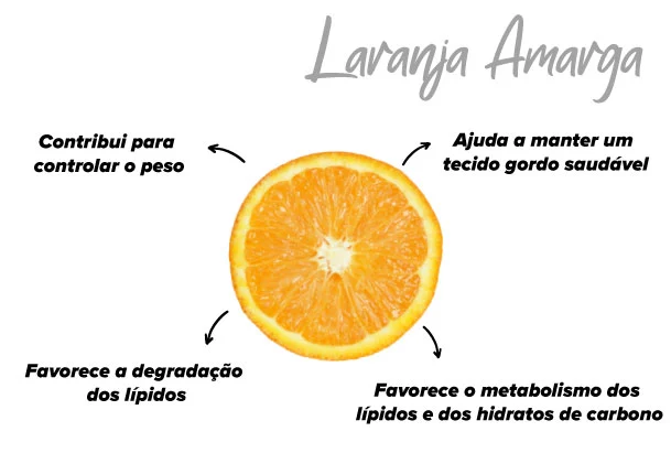 Laranja amarga em nosso organismo
