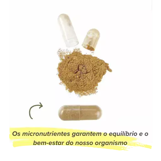 Effets des micronutriments sur l'organisme