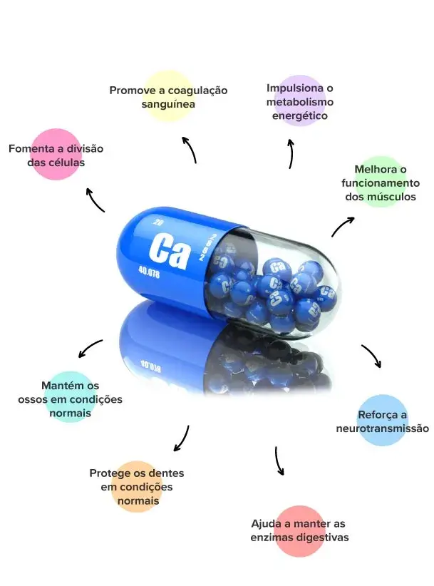 Propriedades do cálcio