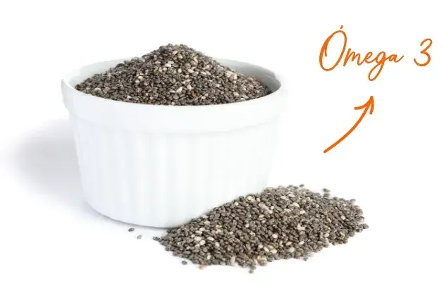 O que são as sementes de chia