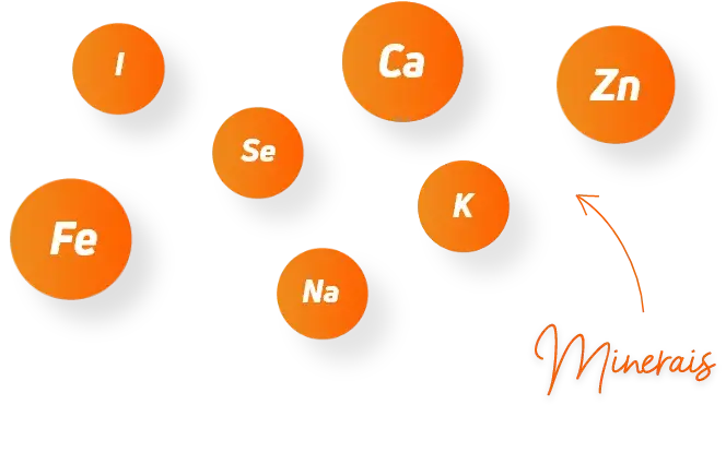 Tipos de minerales