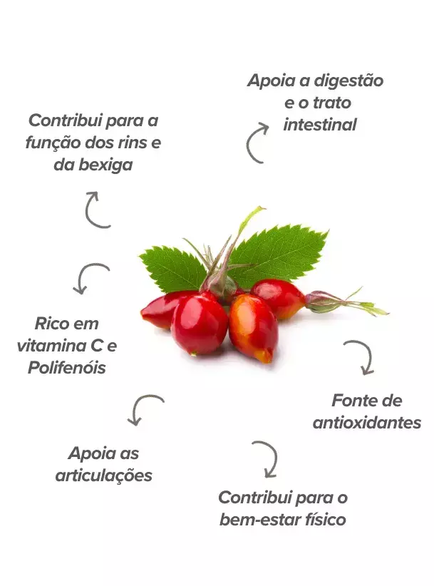 Qual a função da rosa mosqueta no organismo?