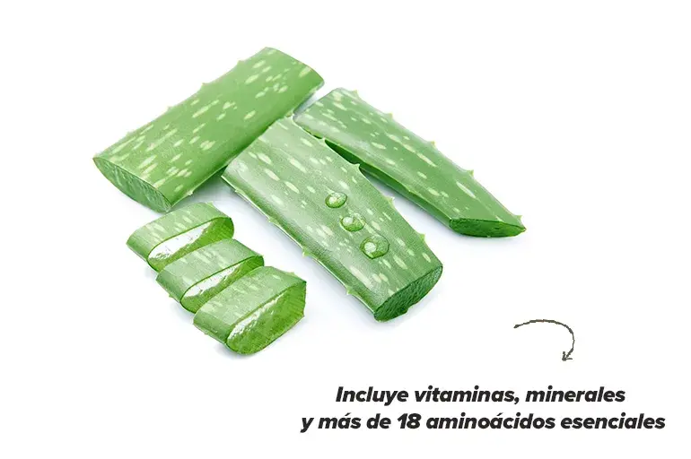 Aloe vera HSN