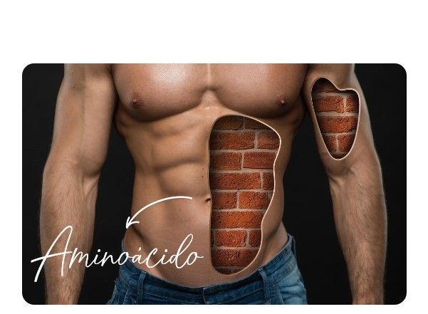 Tipos de aminoácidos en HSN