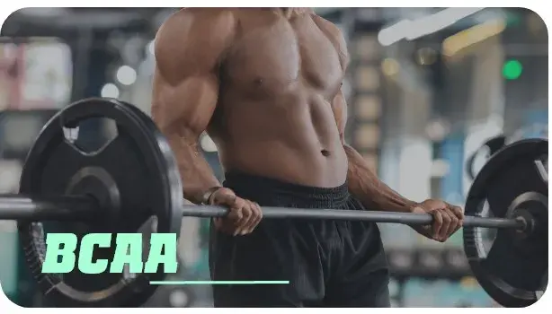 branched-chain amino acids