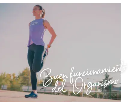 Buen funcionamiento del organismo