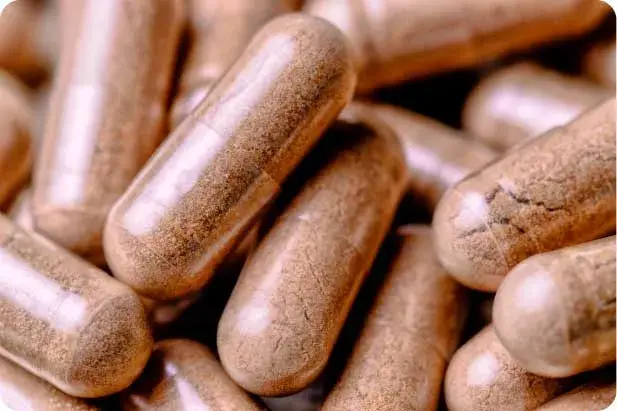 Ginkgo biloba bei HSN kaufen