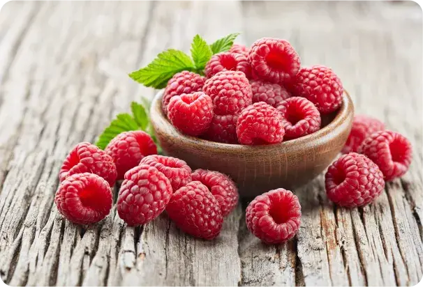 Buy Raspberry Ketones at HSN