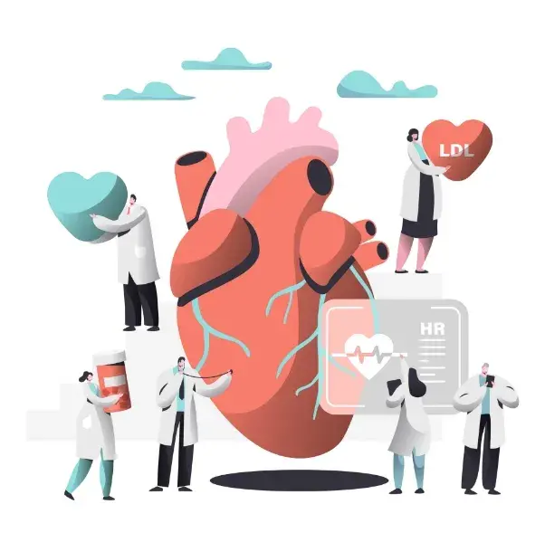 Colesterolo e salute cardiovascolare