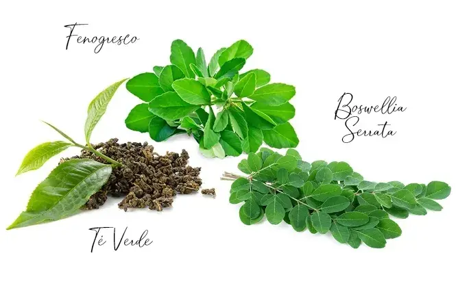 Complementos para bajar el colesterol