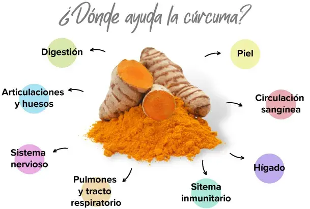 Cúrcuma en el organismo