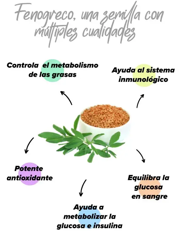 para que sirve el aceite de fenogreco 9 efectos fenogreco