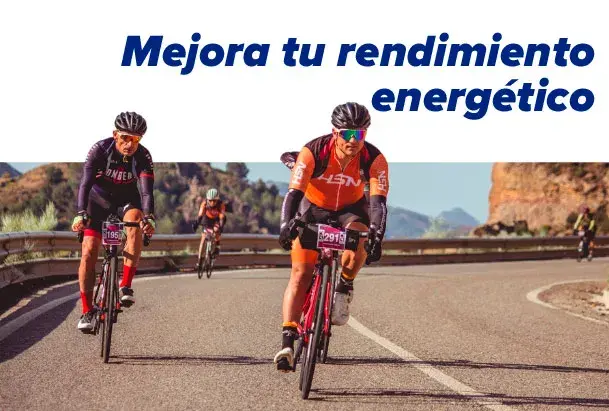 Efectos del ginseng a la salud
