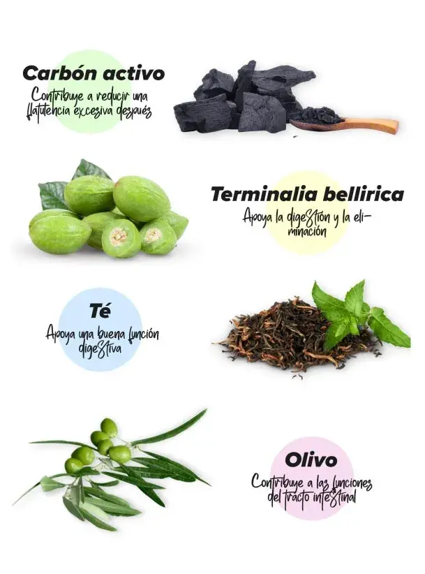 Eliminar los gases intestinales