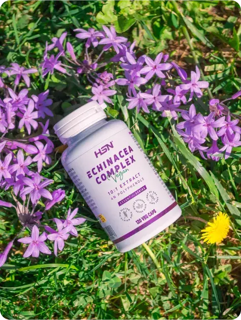 Complementos de equin&aacute;cea al mejor precio