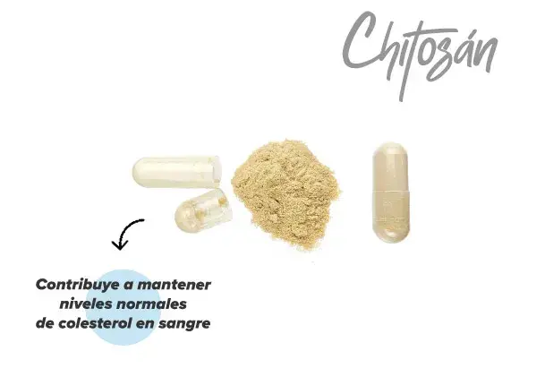 &iquest;C&oacute;mo act&uacute;a el chitosan en el organismo?