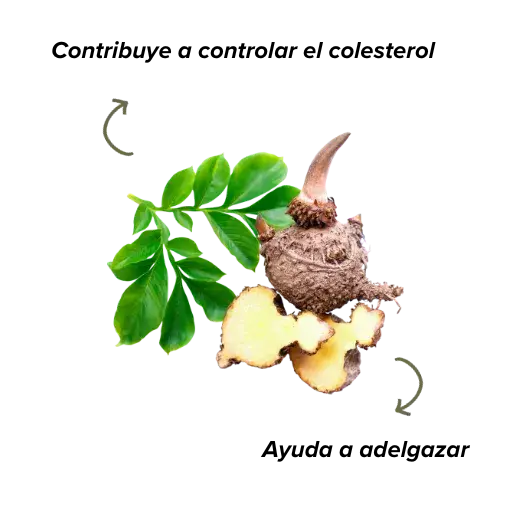 Funciones del glucomanano en la salud