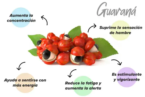 Funciones del guaraná en el organismo