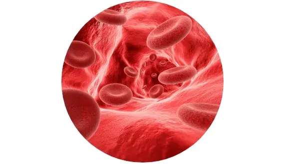 Presi&oacute;n sangu&iacute;nea