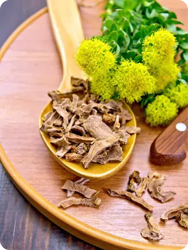 ¿Cómo actúa la rhodiola rosea en el organismo?