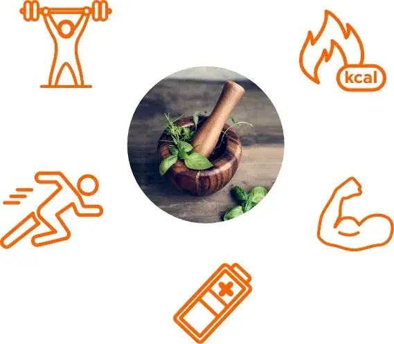 role-of-natural-anabolics role-of-natural-anabolics